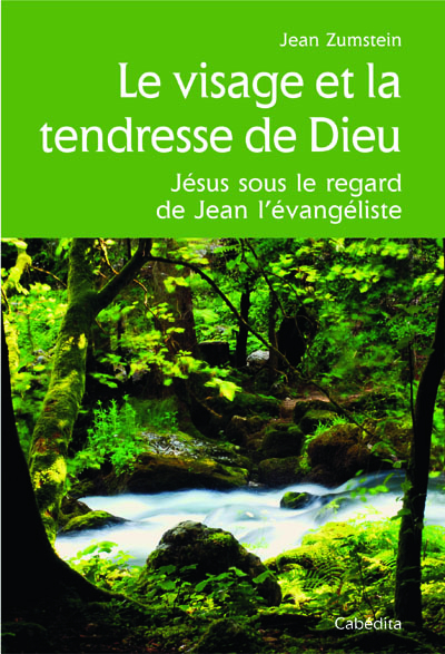 Le visage et la tendresse de Dieu : Jésus sous le regard de Jean l'évangéliste