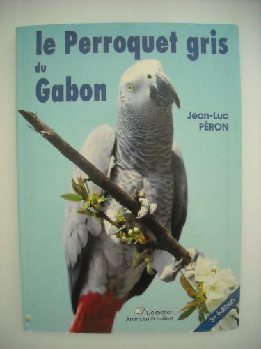 Le Perroquet gris du Gabon