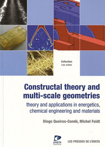 Constructal theory and multi-scale geometries : theory and applications in energetics, chemical engi
