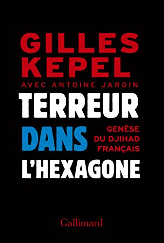 Terreur dans l'Hexagone : genèse du djihad français