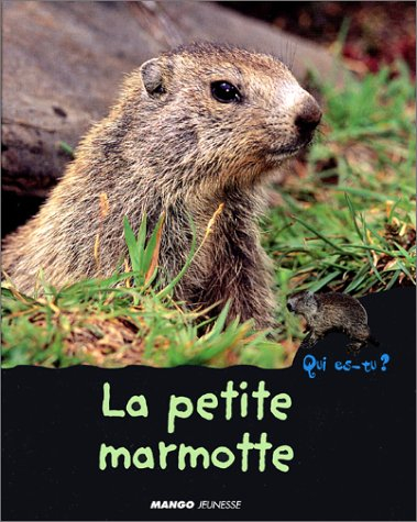 Marmotte neuve - Sans marque