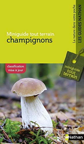 Champignons