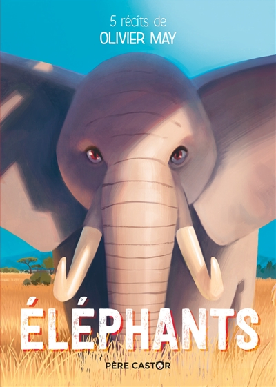 Eléphants