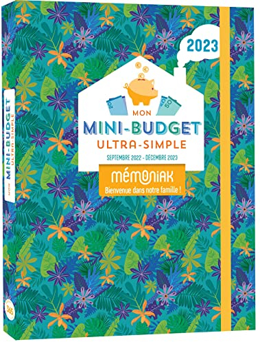 Mon mini-budget ultra-simple 2023 : de septembre 2022 à décembre 2023