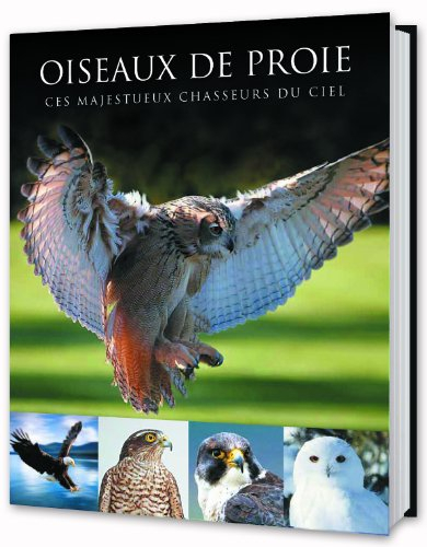 Oiseaux de proie : ces majestueux chasseurs du ciel