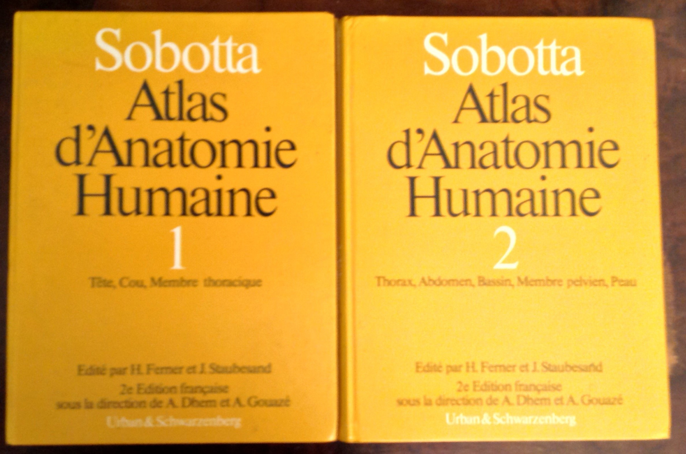 Atlas d'anatomie humaine. Vol. 2. Tronc, viscères, membre inférieur