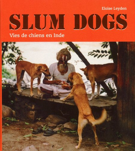 Slum dogs : vies de chiens en Inde