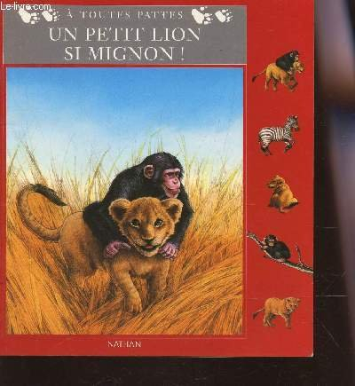 un petit lion si mignon !