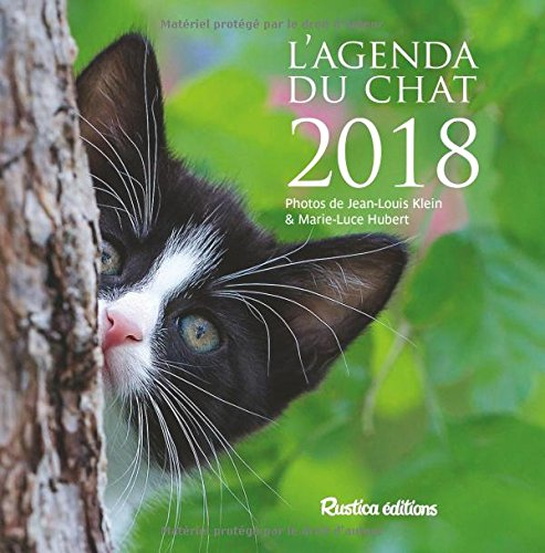 Calendrier chats à colorier (édition 2022) - Collectif - Rustica
