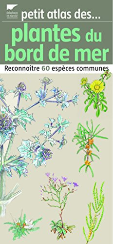 Petit atlas des plantes du bord de mer : reconnaître 60 espèces communes