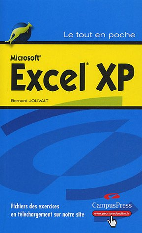 Microsoft Excel XP