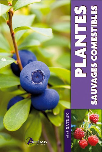 Plantes sauvages comestibles