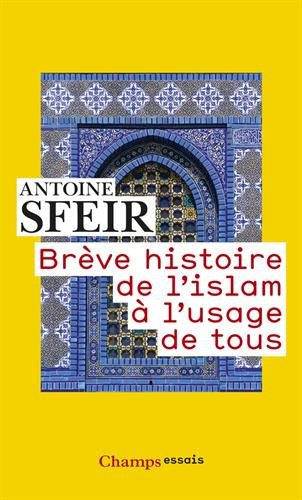 Brève histoire de l'islam à l'usage de tous