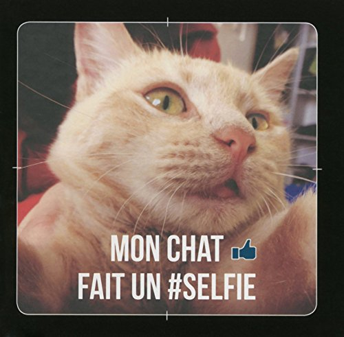 Mon chat fait un #selfie