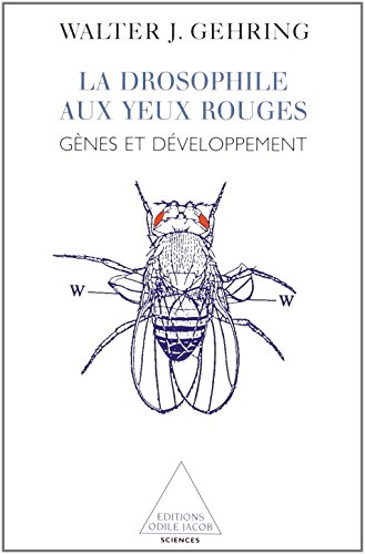 La drosophile aux yeux rouges : gènes et développement