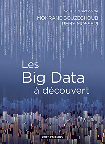 Les big data à découvert : le traitement des données numériques