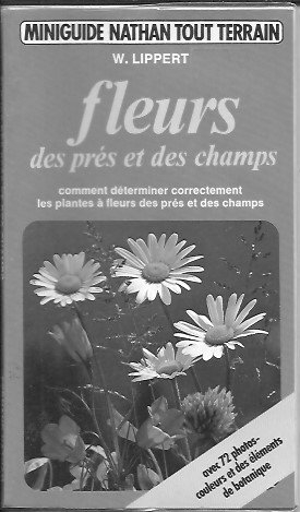 Fleurs des prés et des champs