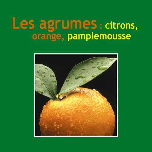 Les agrumes : citron, orange, pamplemousse...