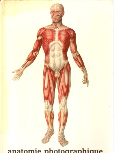 Anatomie photographique du corps humain