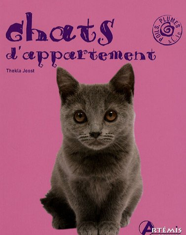 Chats d'appartement