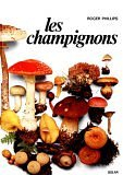 Les Champignons