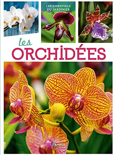 Les orchidées