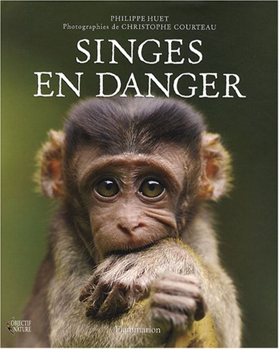 Singes en danger