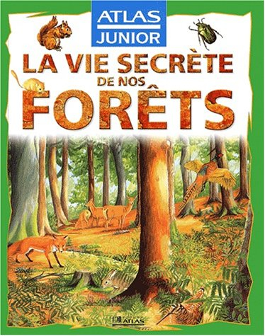 La vie secrète de la forêt