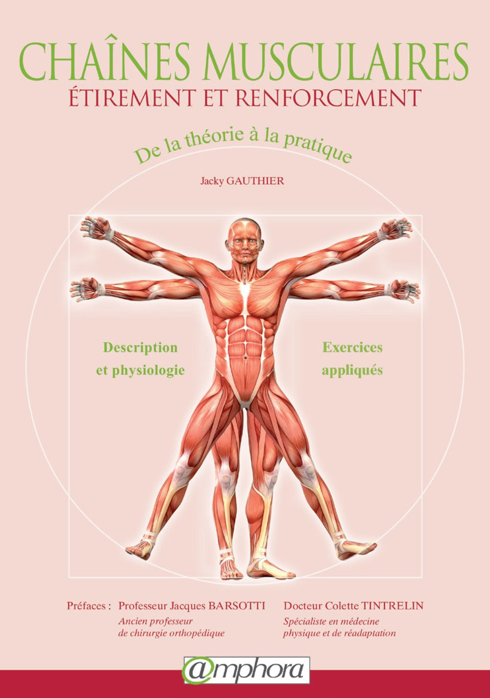 Chaînes musculaires : étirement et renforcement : de la théorie à la pratique