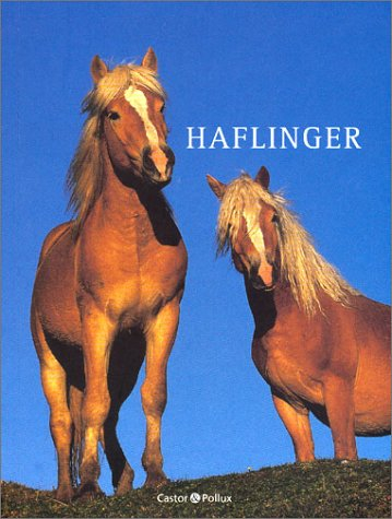 Haflinger