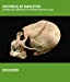 Histoire(s) de squelettes : musée archéologique
