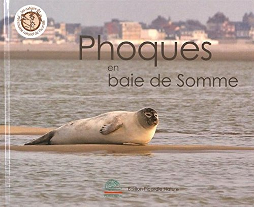 Phoques en baie de Somme