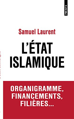 L'Etat islamique : organigramme, financements, filières...