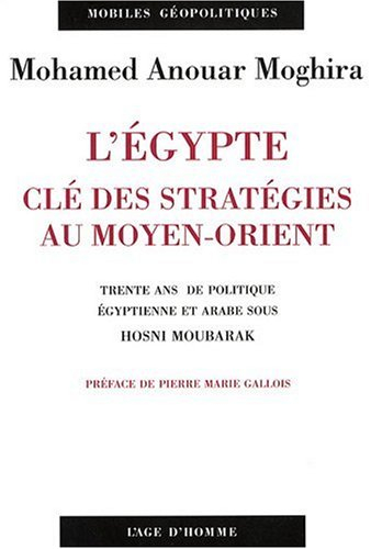 L'Egypte, clé des stratégies au Moyen-Orient : trente ans de politique égyptienne et arabe sous Hosn