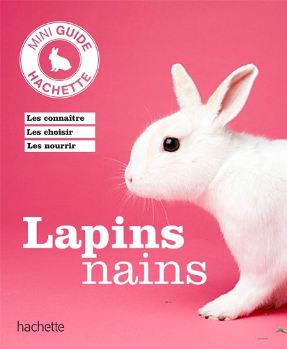 Lapins nains : les connaître, les choisir, en prendre soin