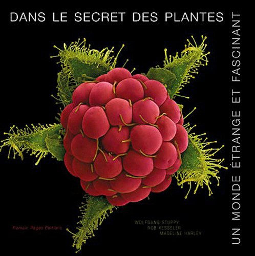 Dans le secret des plantes : un monde étrange et fascinant