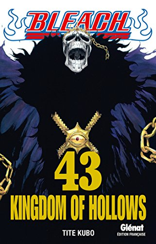 Bleach. Vol. 43. Kingdom of hollows