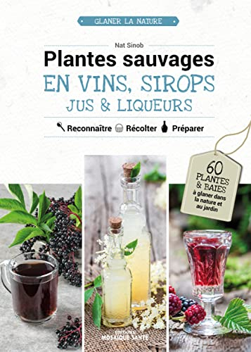 Plantes sauvages en vins, sirops, jus & liqueurs : reconnaître, récolter, préparer : 60 plantes et b
