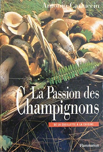 la passion des champignons : de la cueillette à la cuisine