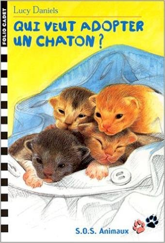 Qui veut adopter un chaton ?